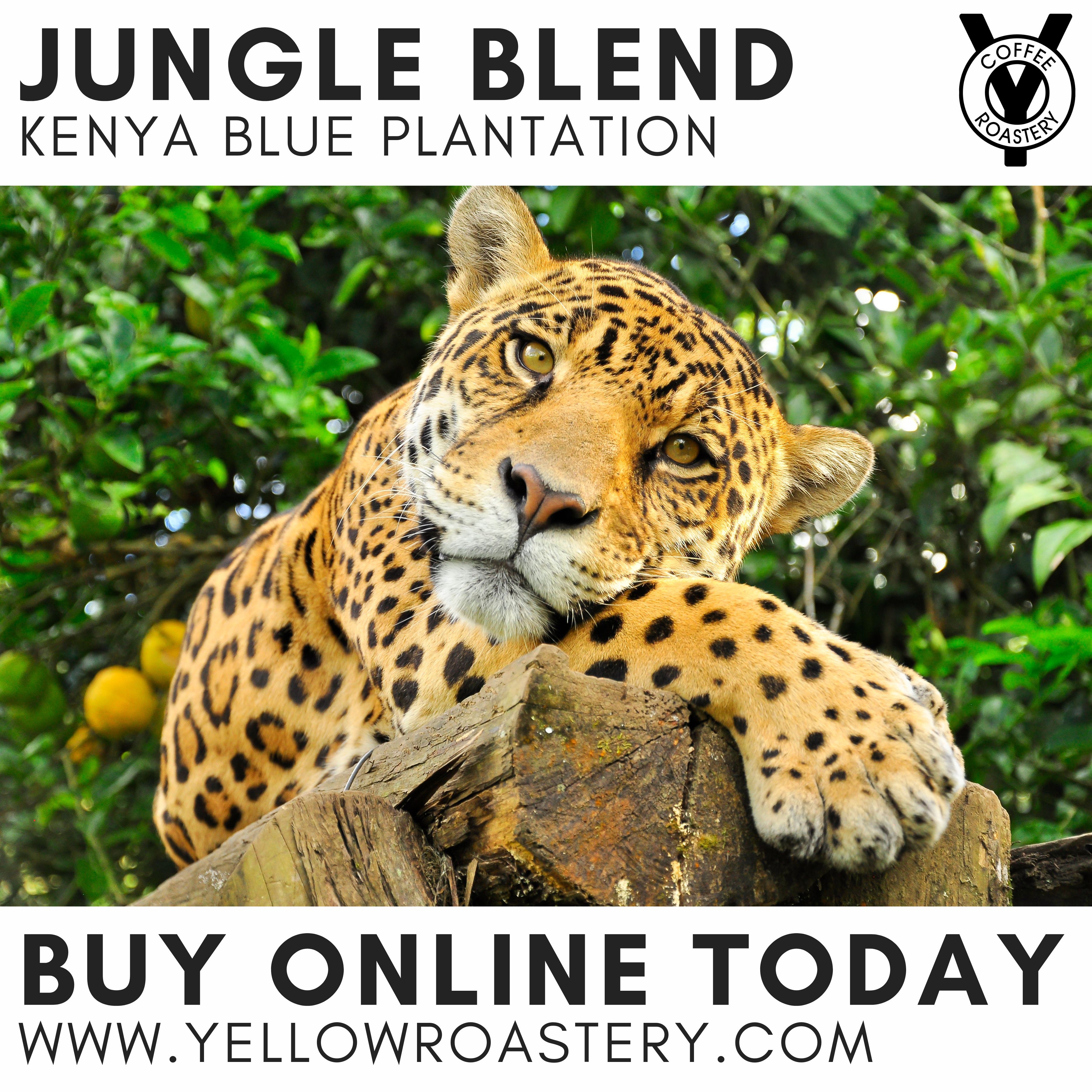Kenya Blue Plantation