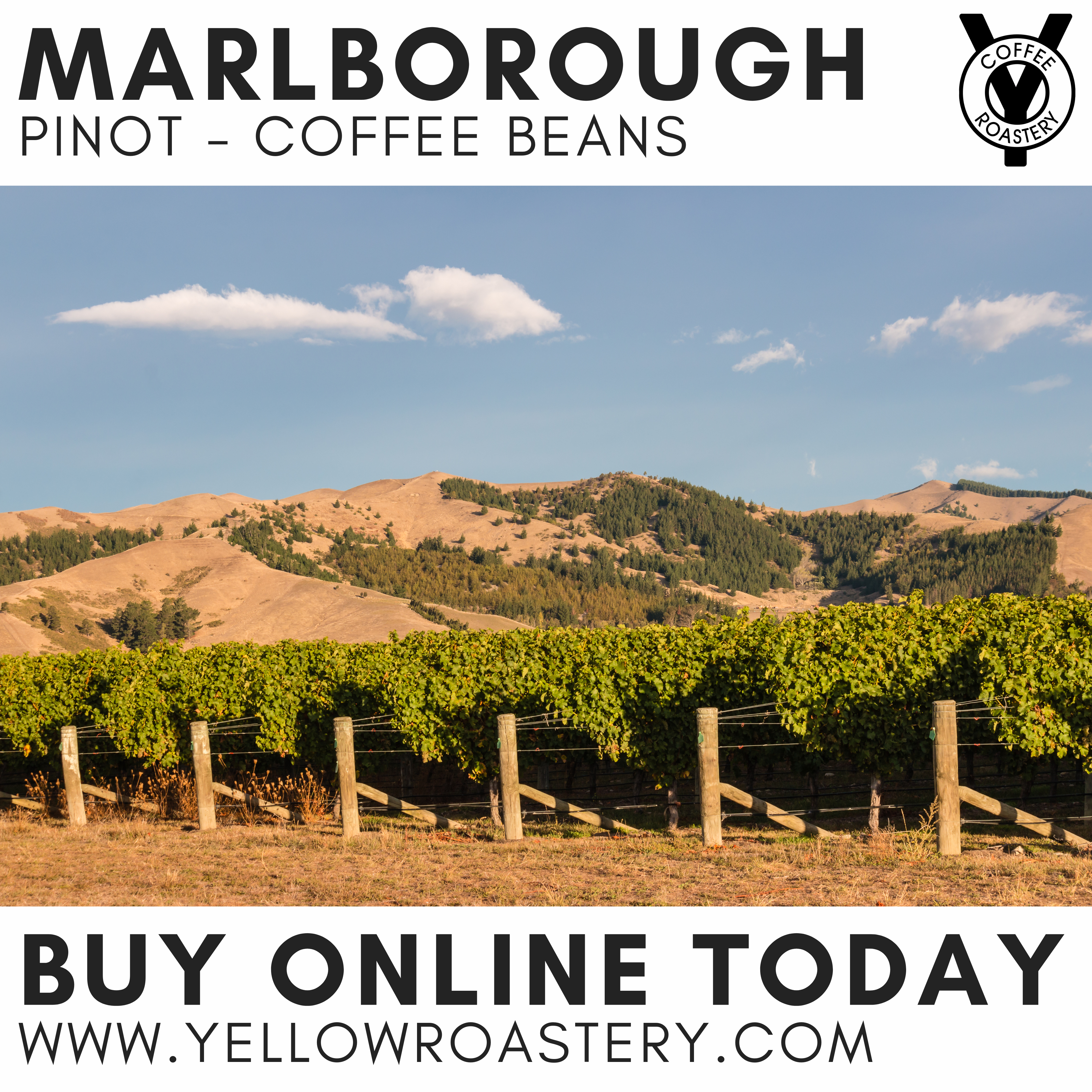 Marlborough Pinot