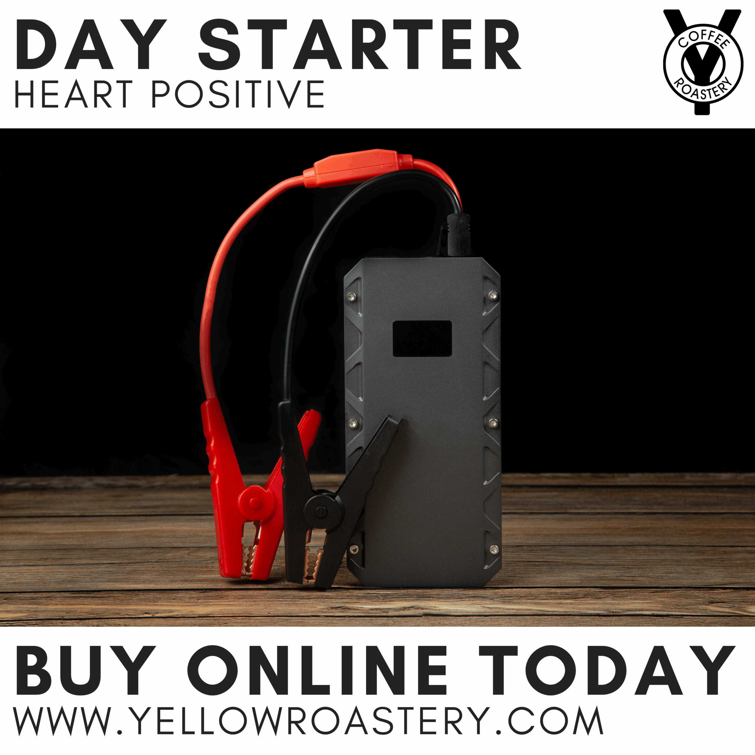 The Day Starter